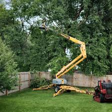 Best Seasonal Cleanup (Spring/Fall)  in Weatherford, OK