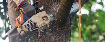 Best Lawn Maintenance Plans  in Weatherford, OK