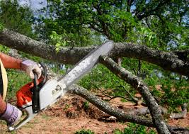 Best Hedge Trimming  in Weatherford, OK