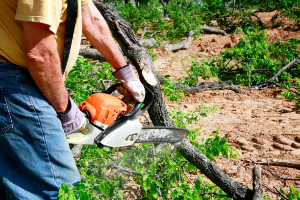 Best Commercial Tree Services  in Weatherford, OK